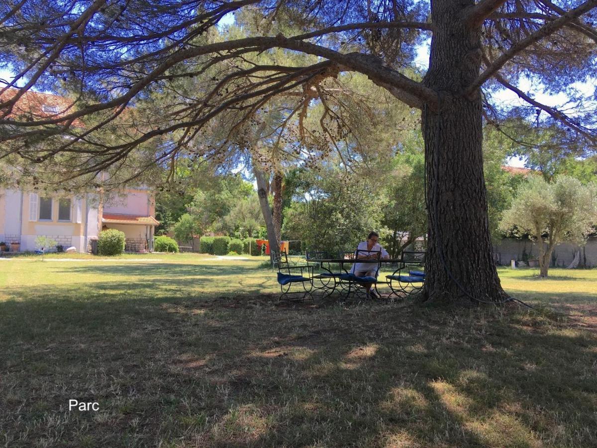 Un Nid en Camargue Bed and Breakfast Salin-de-Giraud Exterior foto