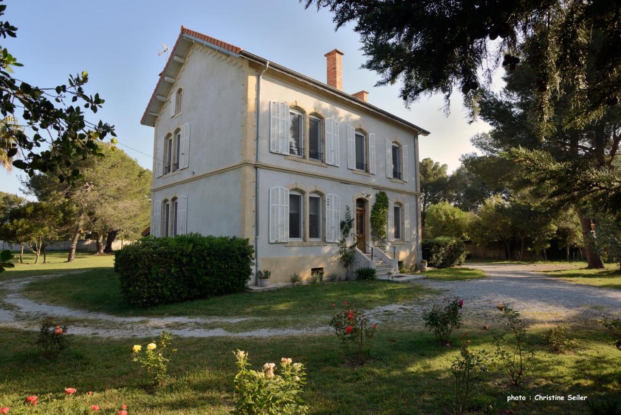 Un Nid en Camargue Bed and Breakfast Salin-de-Giraud Exterior foto