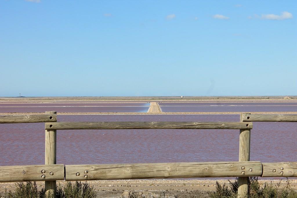 Un Nid en Camargue Bed and Breakfast Salin-de-Giraud Exterior foto